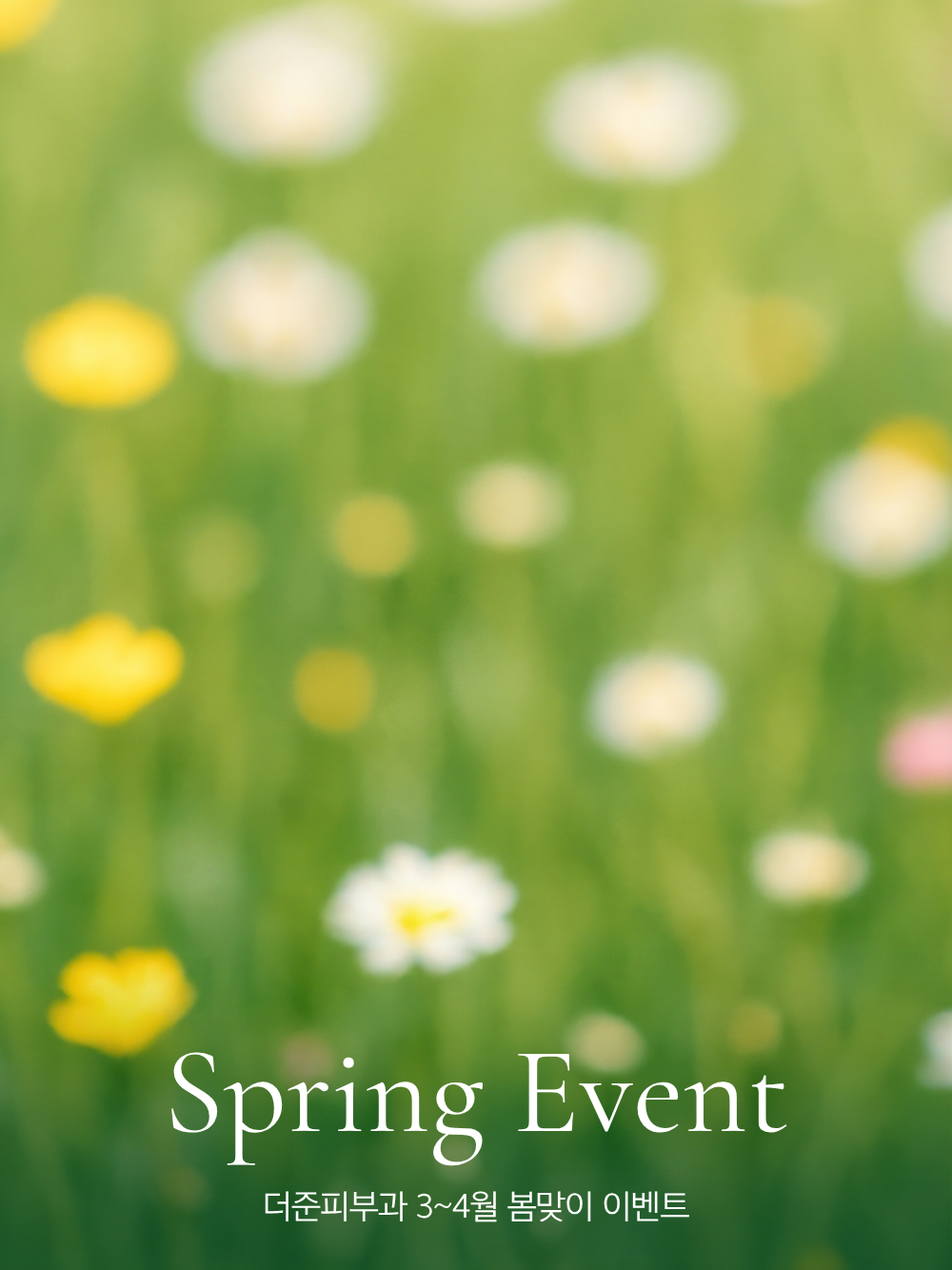 3-4월 이벤트
